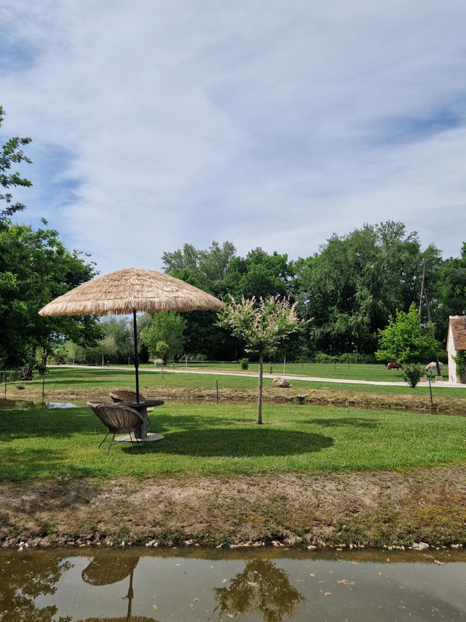 Maison De Campagne Soings-en-Sologne Εξωτερικό φωτογραφία
