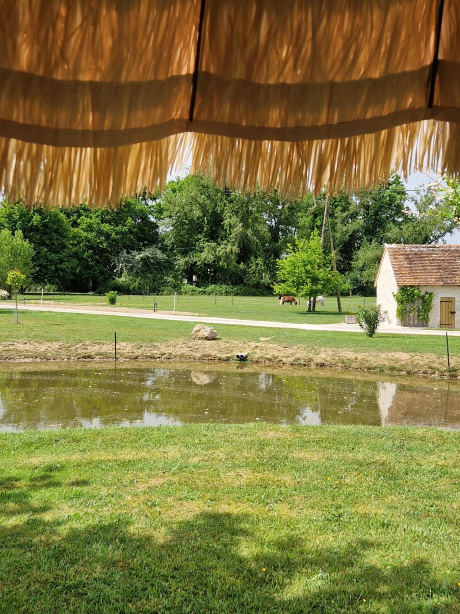 Maison De Campagne Soings-en-Sologne Εξωτερικό φωτογραφία